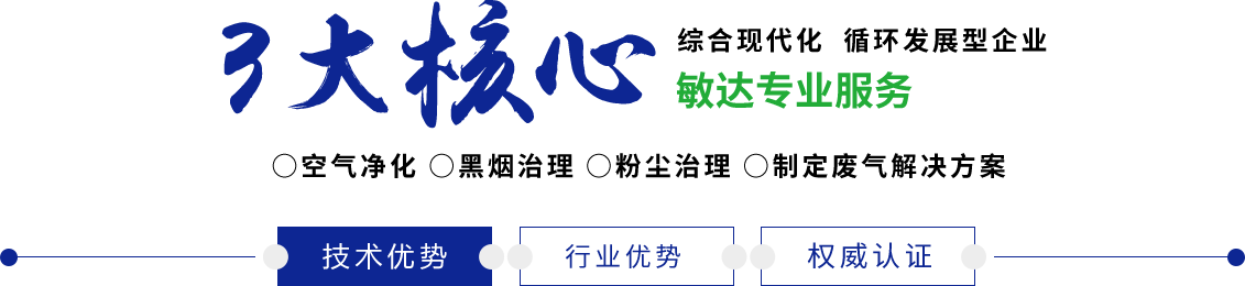 日逼的黄色视频敏达环保科技（嘉兴）有限公司